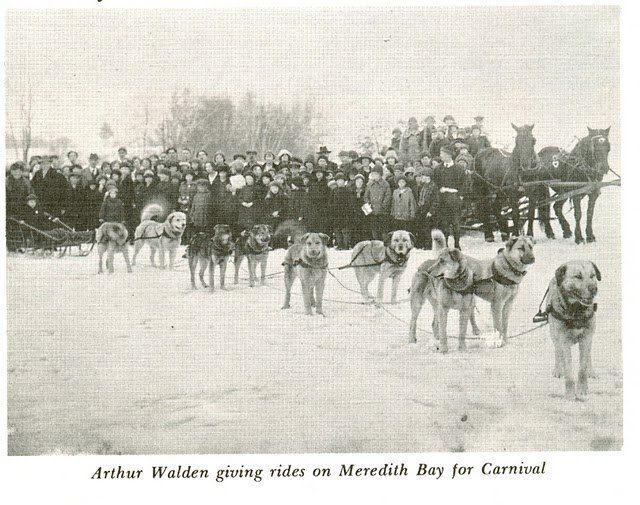 Sled Dog Team of Chinook Dogs with Chinook in lead.