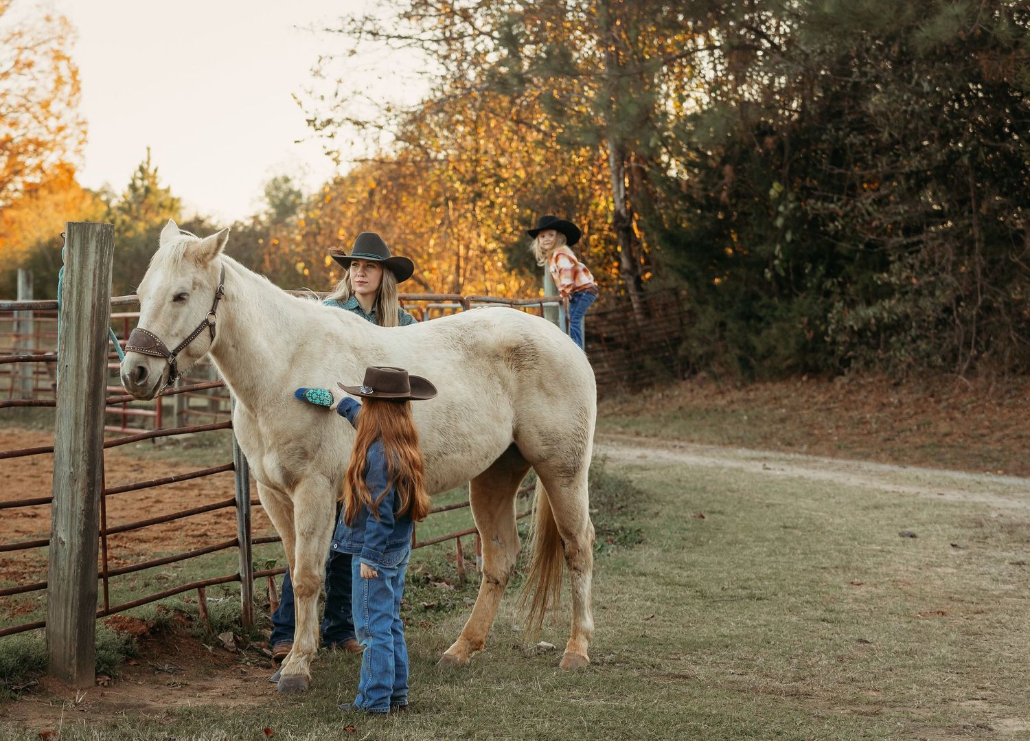 Girls brushing a horse. Greenville sc newborn photographer, Easley sc newborn photographer, Upstate sc newborn photographer