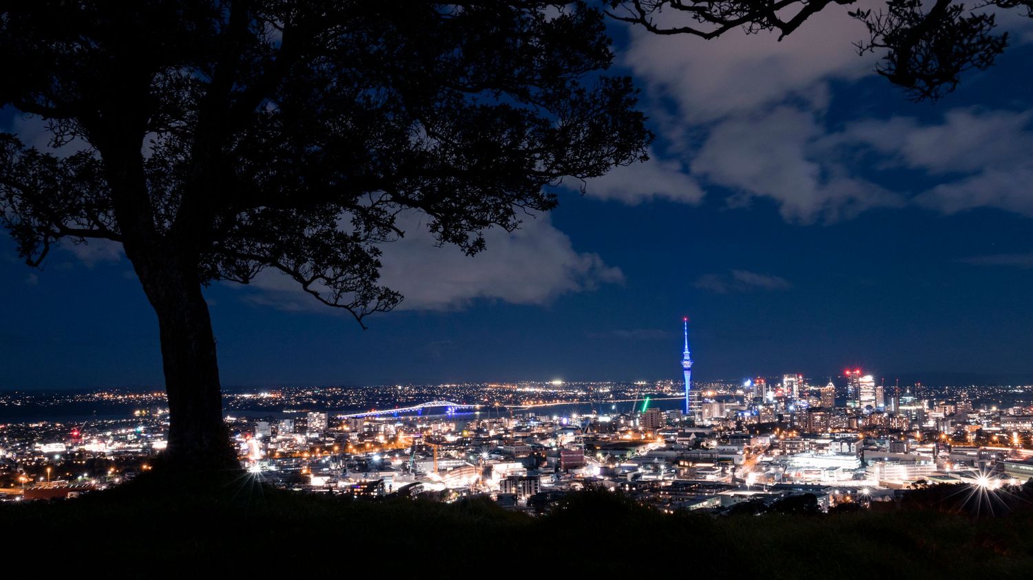 City lights shimmer under a tree-framed view of Auckland and the Sky Tower.