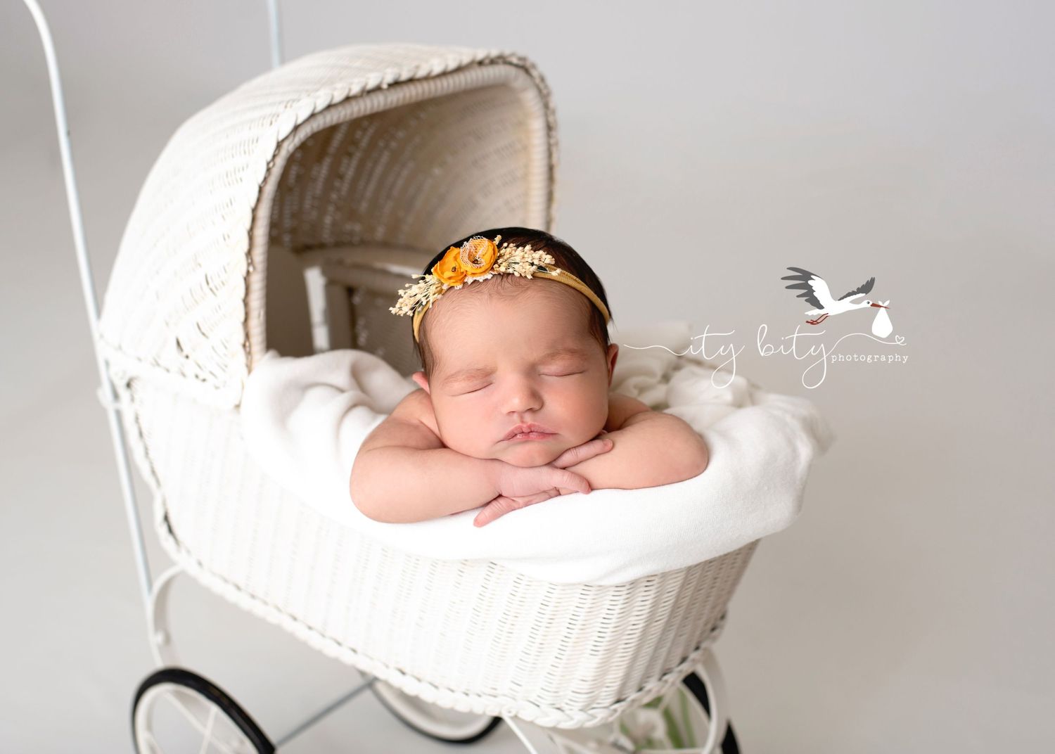 Baby Grace Newborn & Family Photography Session Avon Ohio