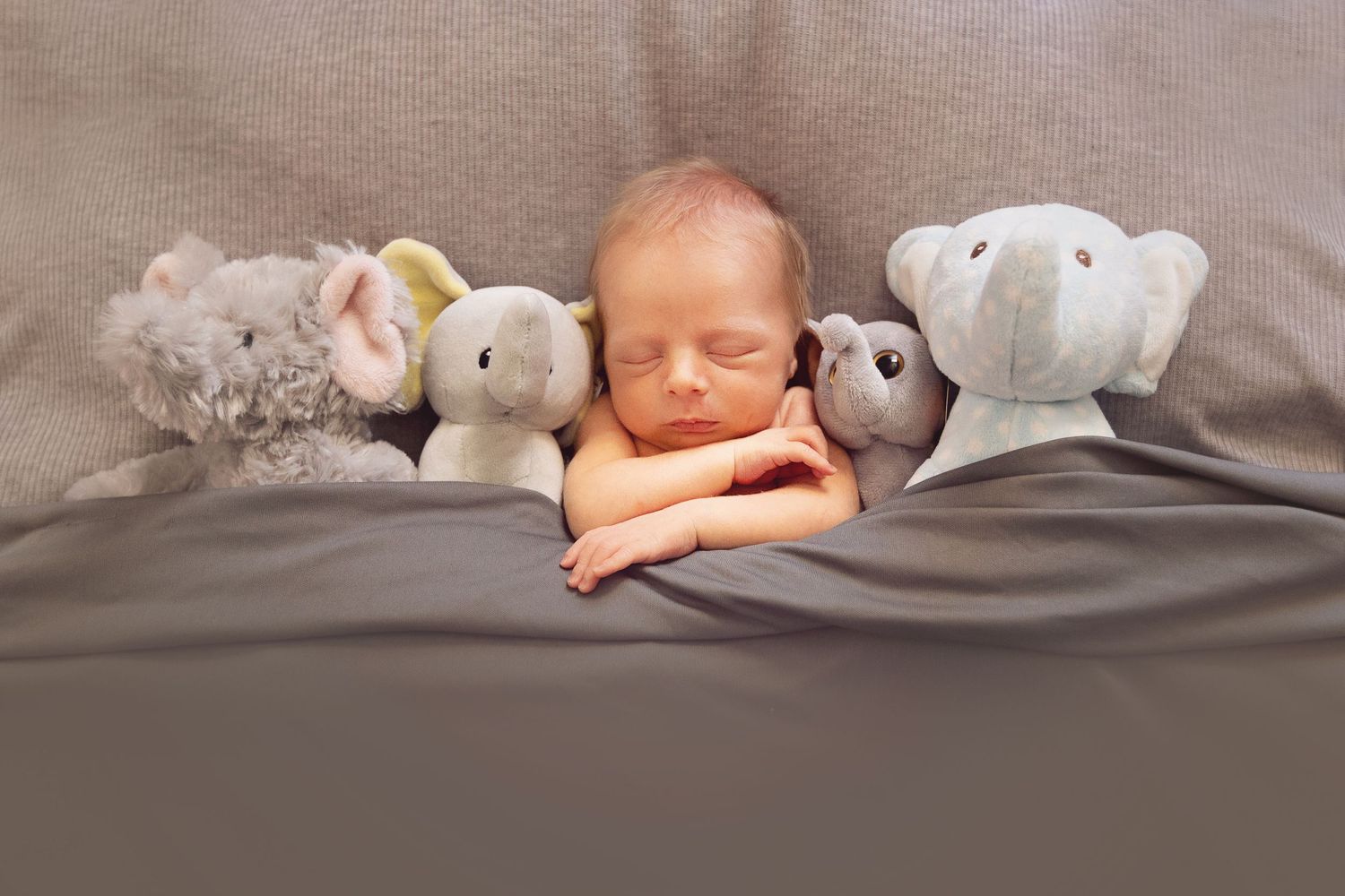 newborns, newborn photography, newborn photographer, delaware newborn photography, delaware newborn photographer,