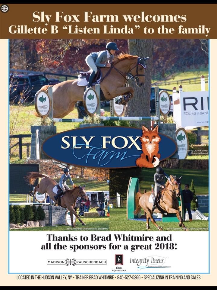 Equine photographer, Lehigh valley, black backgrounds, mo equine photography, horse and rider sessions, pet photography