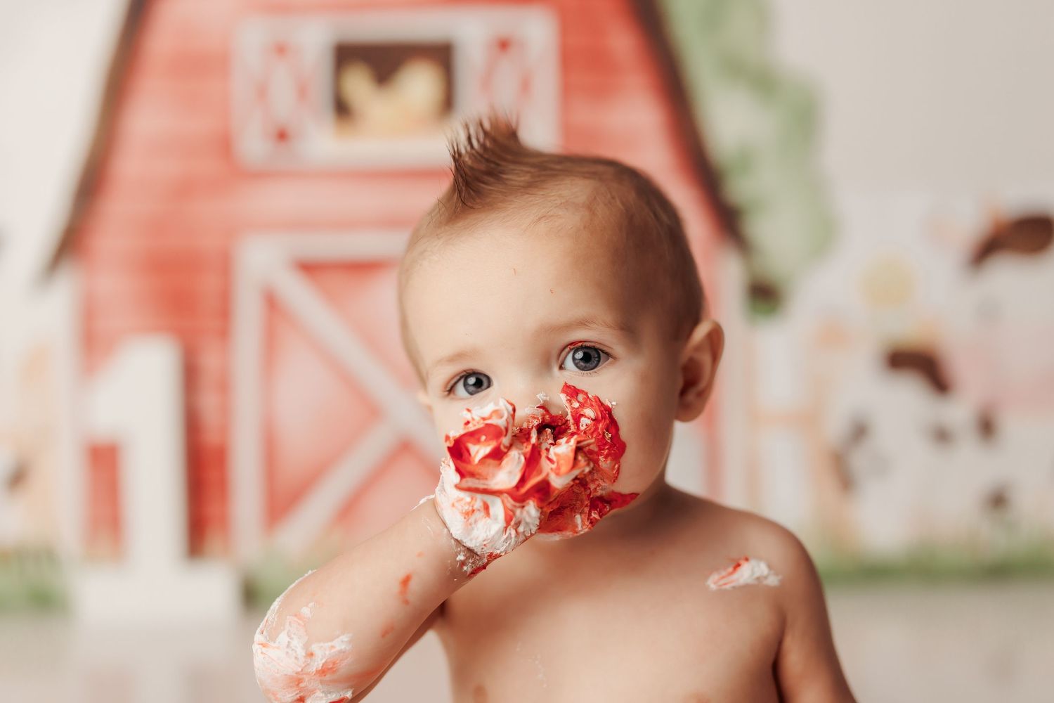 Tulsa cake smash photographer barnyard bash tulsa baby photographer