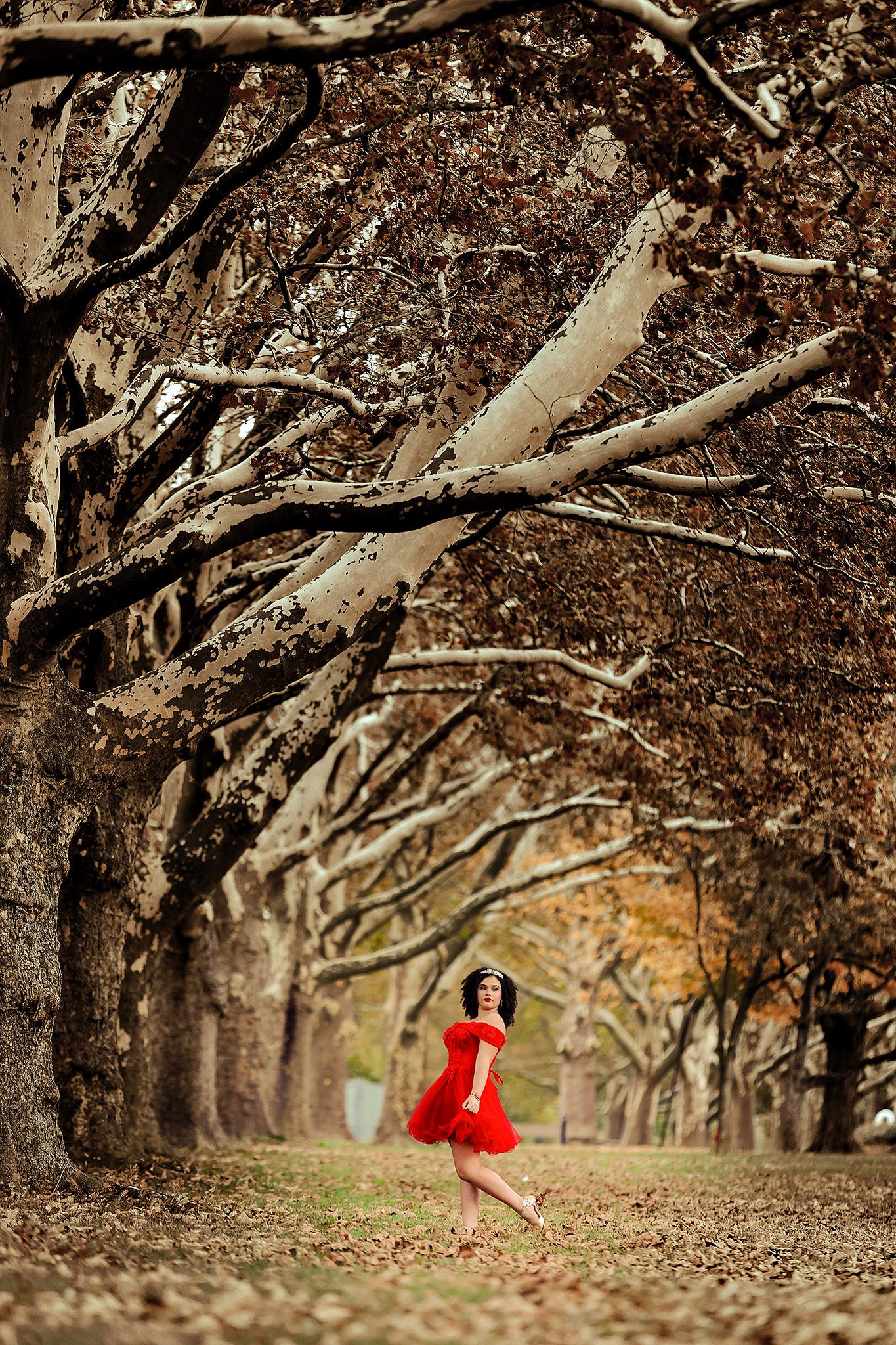 Red dress stands out against sepia-toned tree-lined path.