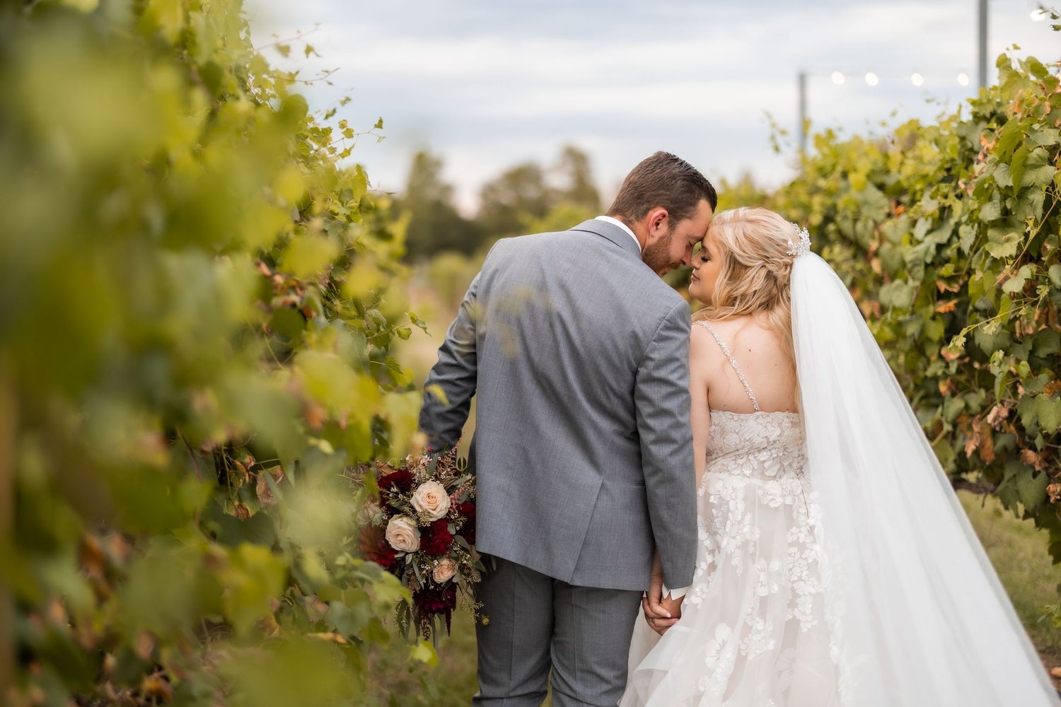 Romantic vineyard wedding portrait with couple among grape vines.