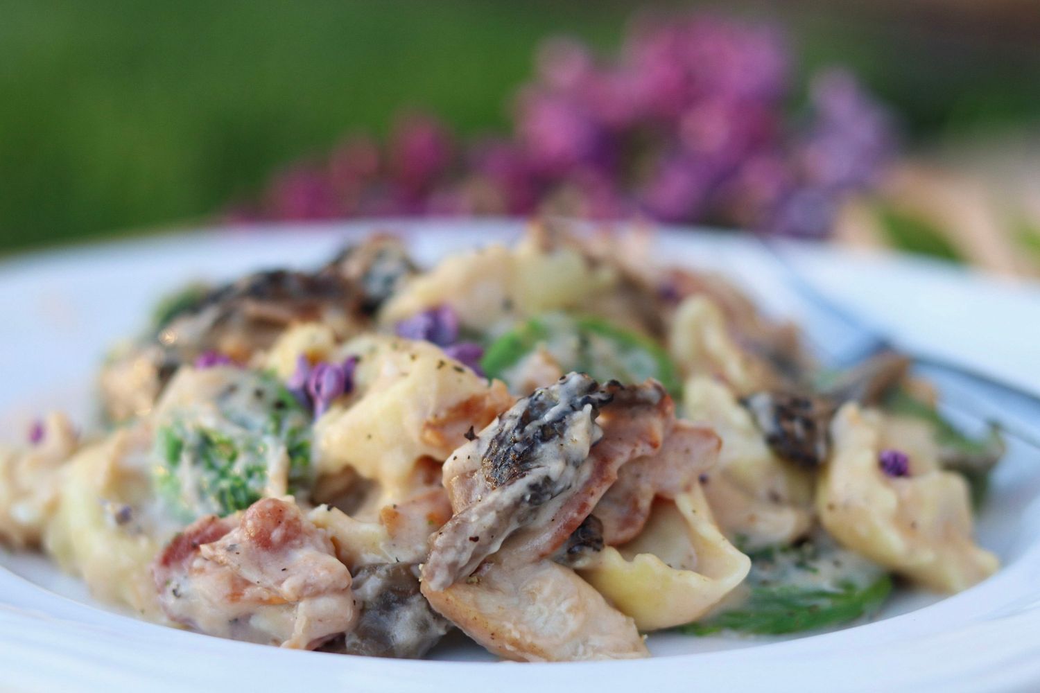 Creamy tortellini pasta dish with mushrooms and fresh herbs on white plate.
