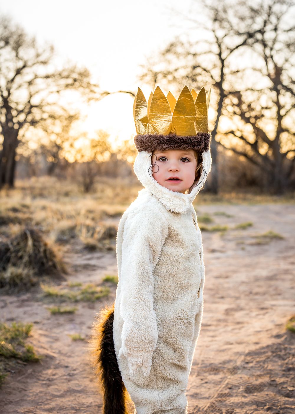 Young one in fuzzy white costume wearing golden crown poses against sunset backdrop.