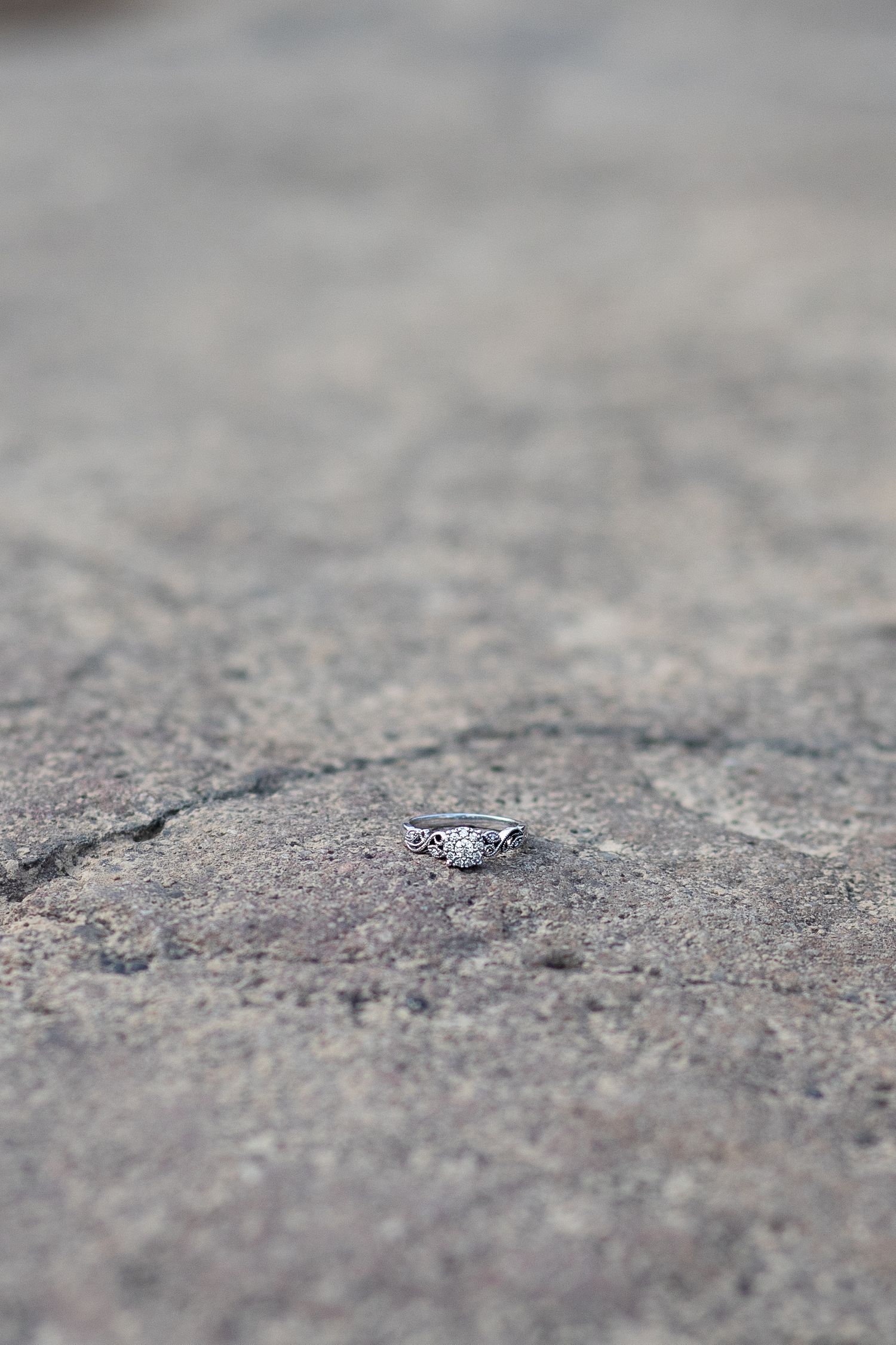 Close-up macro shot of textured gray stone surface with shallow depth of field.