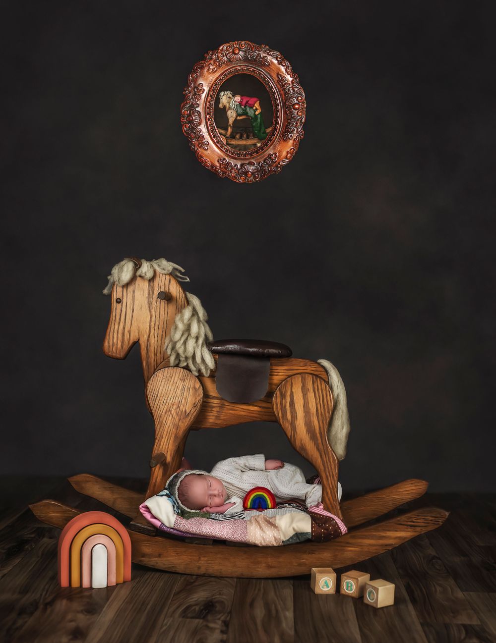Citrus County, Fl newborn photographer