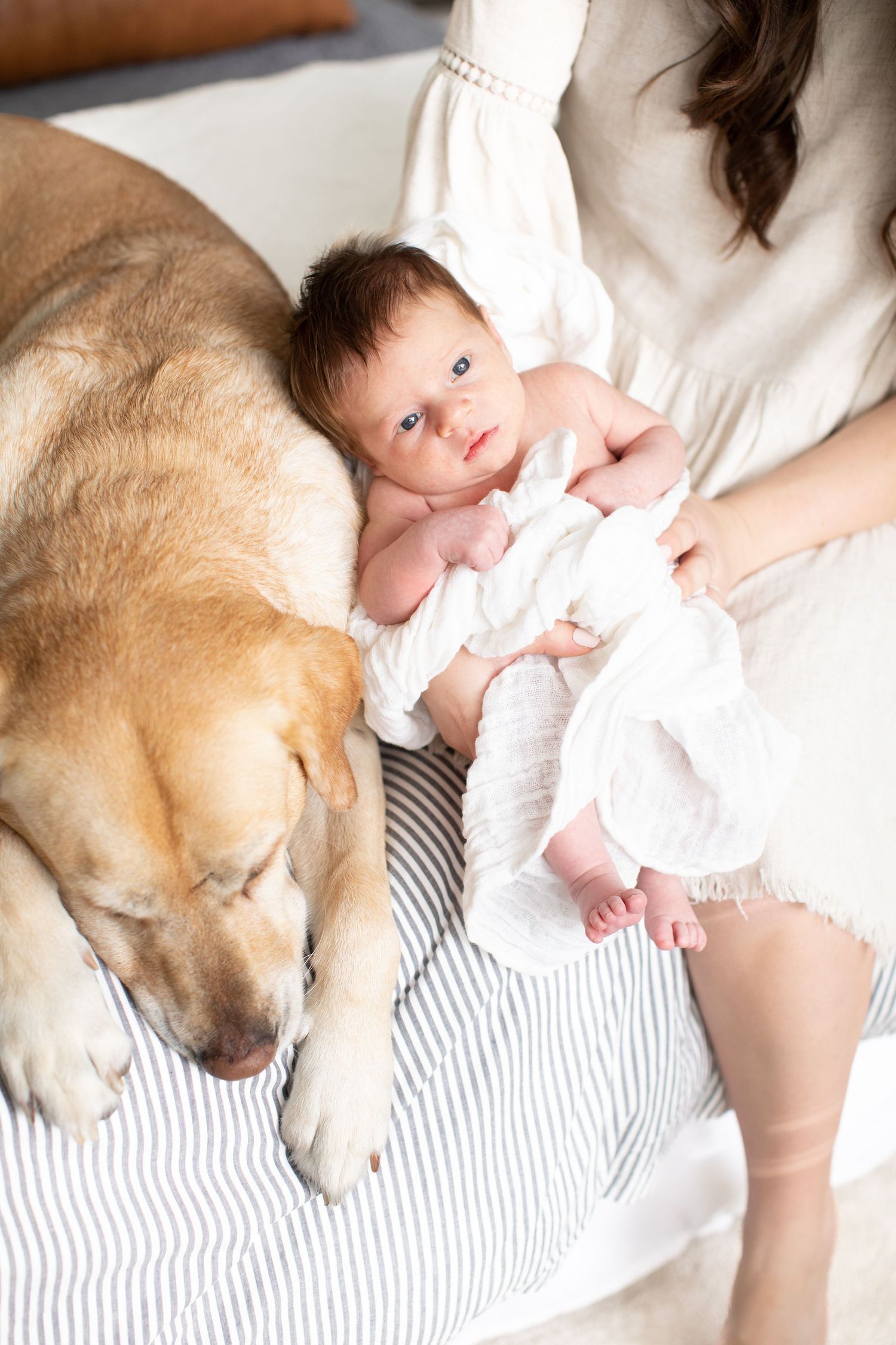 Cozy moment with sleeping dog and newborn baby in white clothing.