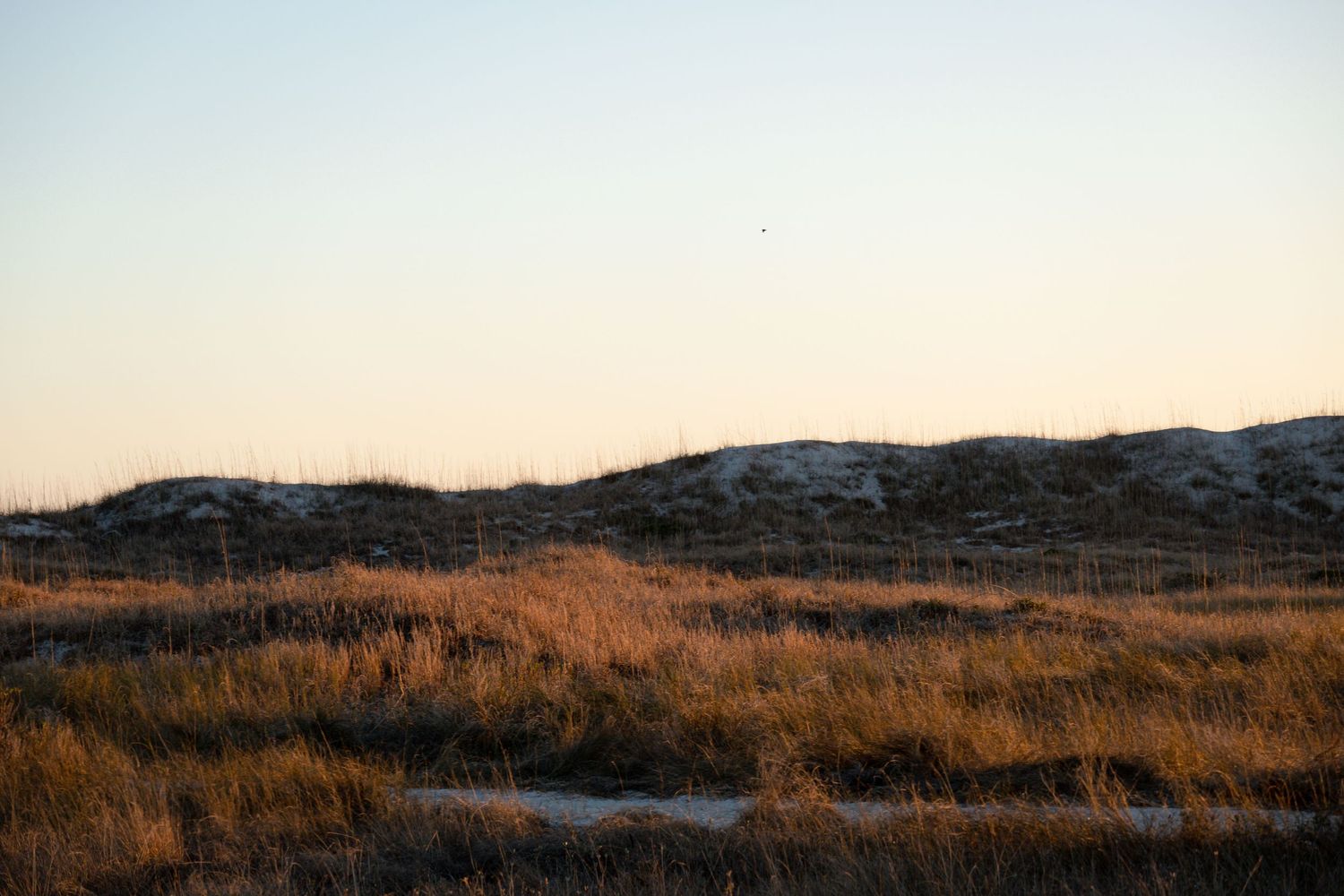 Scenic golden hour landscape of dunes and grassland against a fading sky.