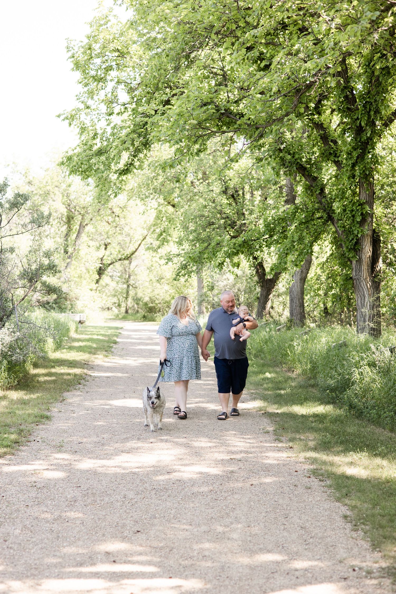 A couple walks their dog along a tree-lined path on a bright summer day.