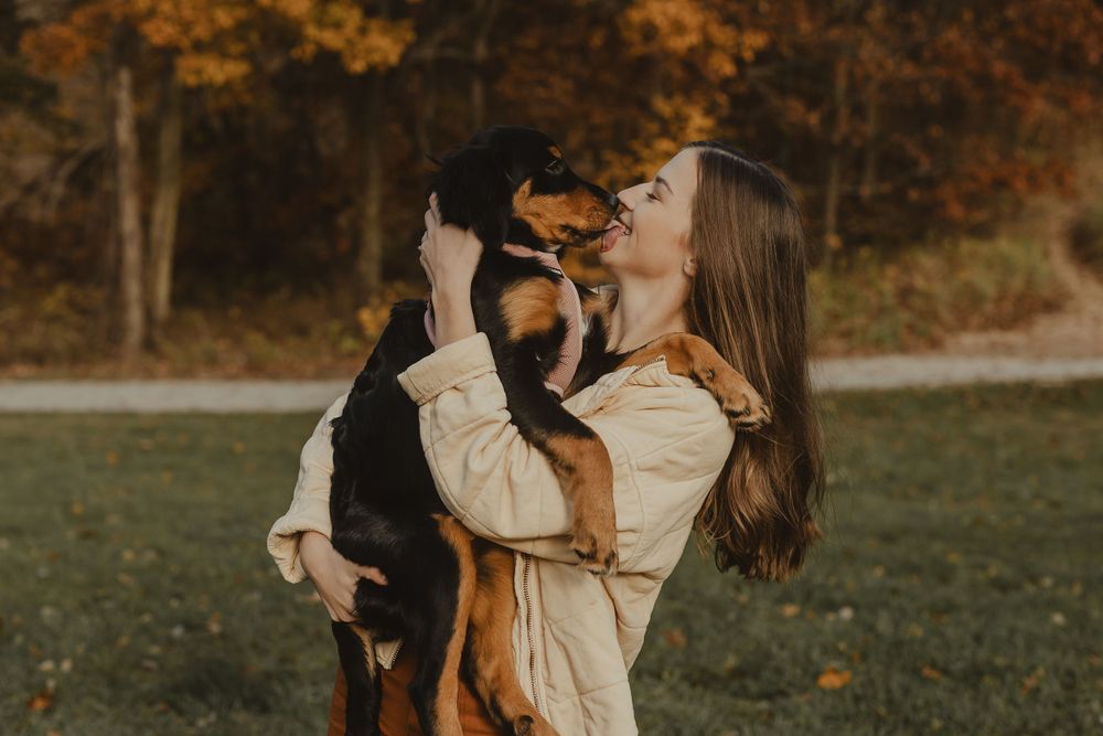 An adorable black and tan puppy being lifted up for a kiss against a backdrop of autumn foliage.