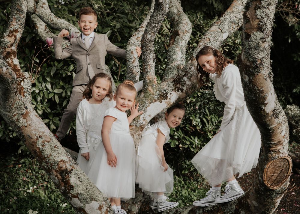 flower girls and Paige boys climbing a tree at a wedding at St Elizabeth's House in Plympton