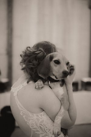 A bride in a lace dress hugging her beagle dog in a formal bowtie.