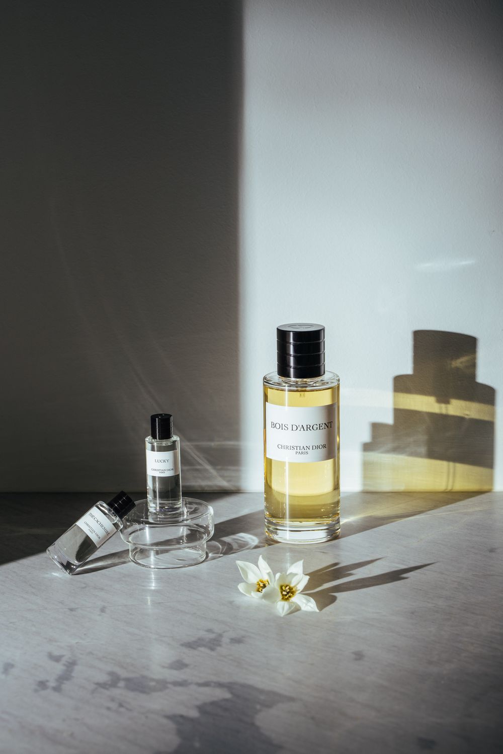 christian dior by bill chen photographer