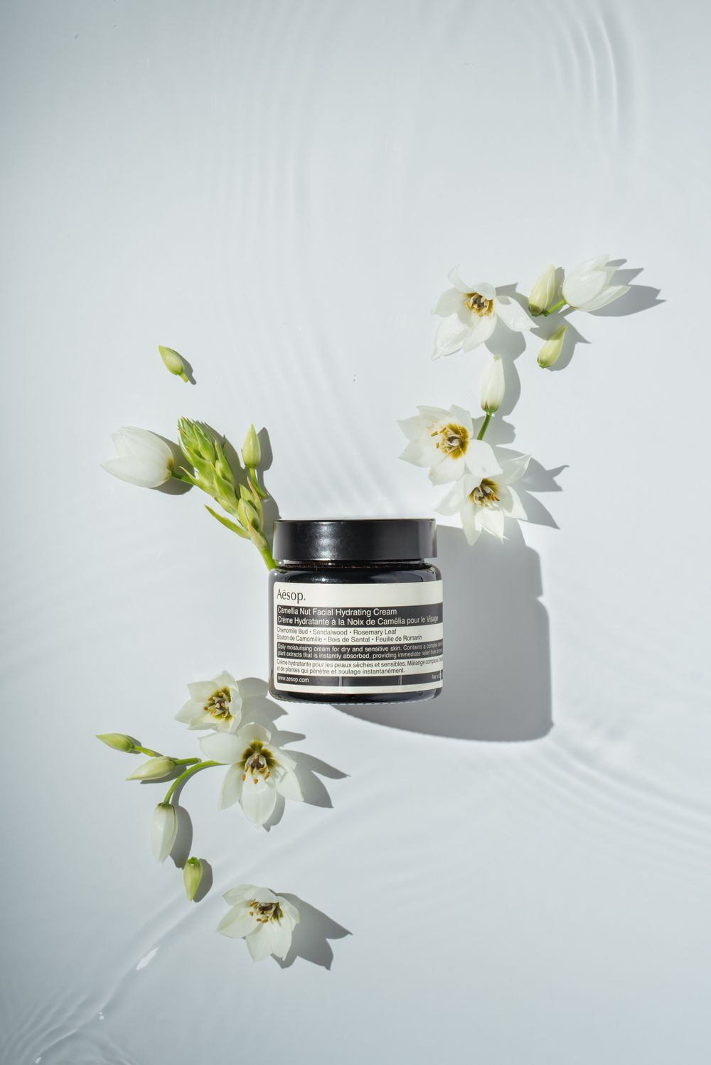 Aesop by bill chen photographer