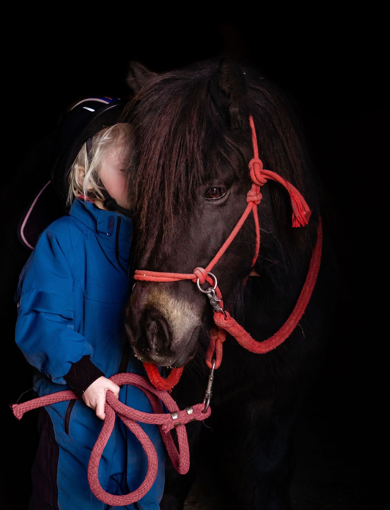 Ida fra Holla, barneponni, shetlandsponni, barn, ponni, hest er best