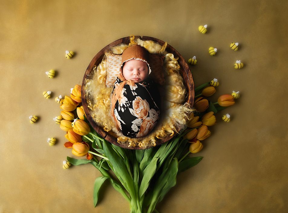Chillicothe Ohio Newborn Photographer