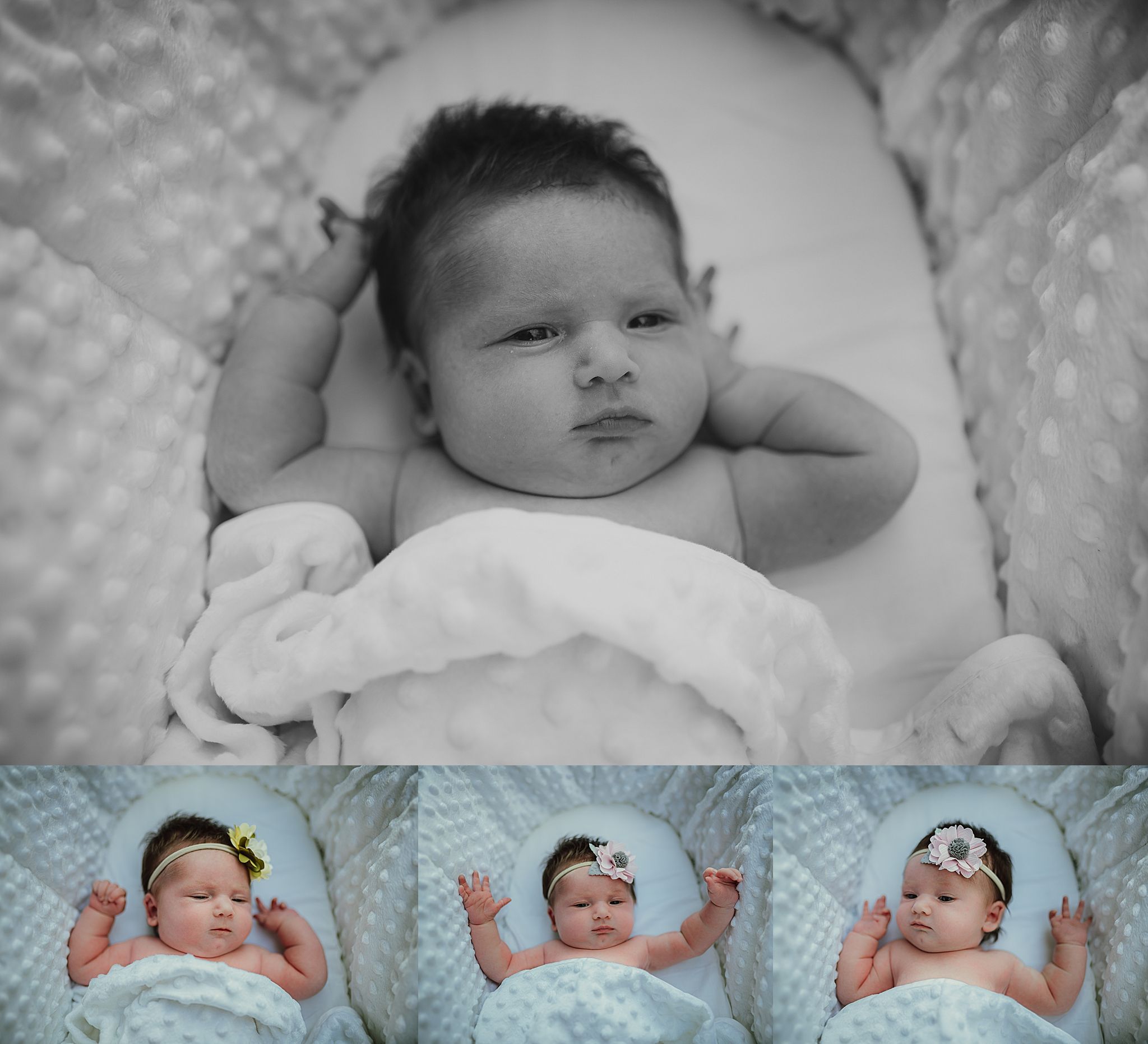 Summer Newborn Pictures Southern Indiana Photographer Wild Arrow
