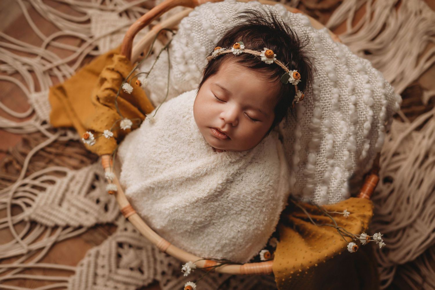 Tampa Newborn Photography- Baby in basket with flowers