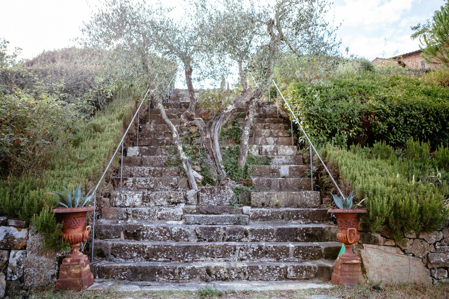 an olive tree grows in the middle of some steps at a wedding venue in Tuscany