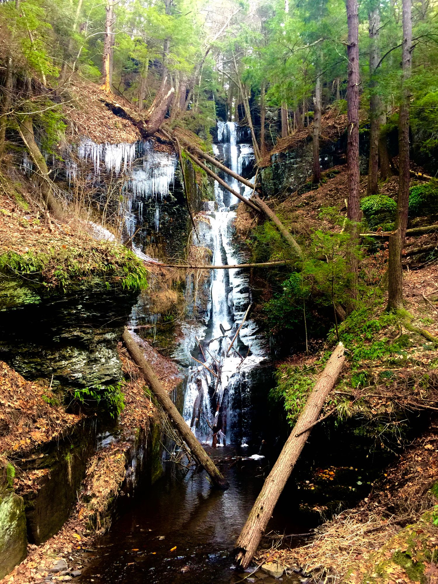 picture of a waterfall in a forest