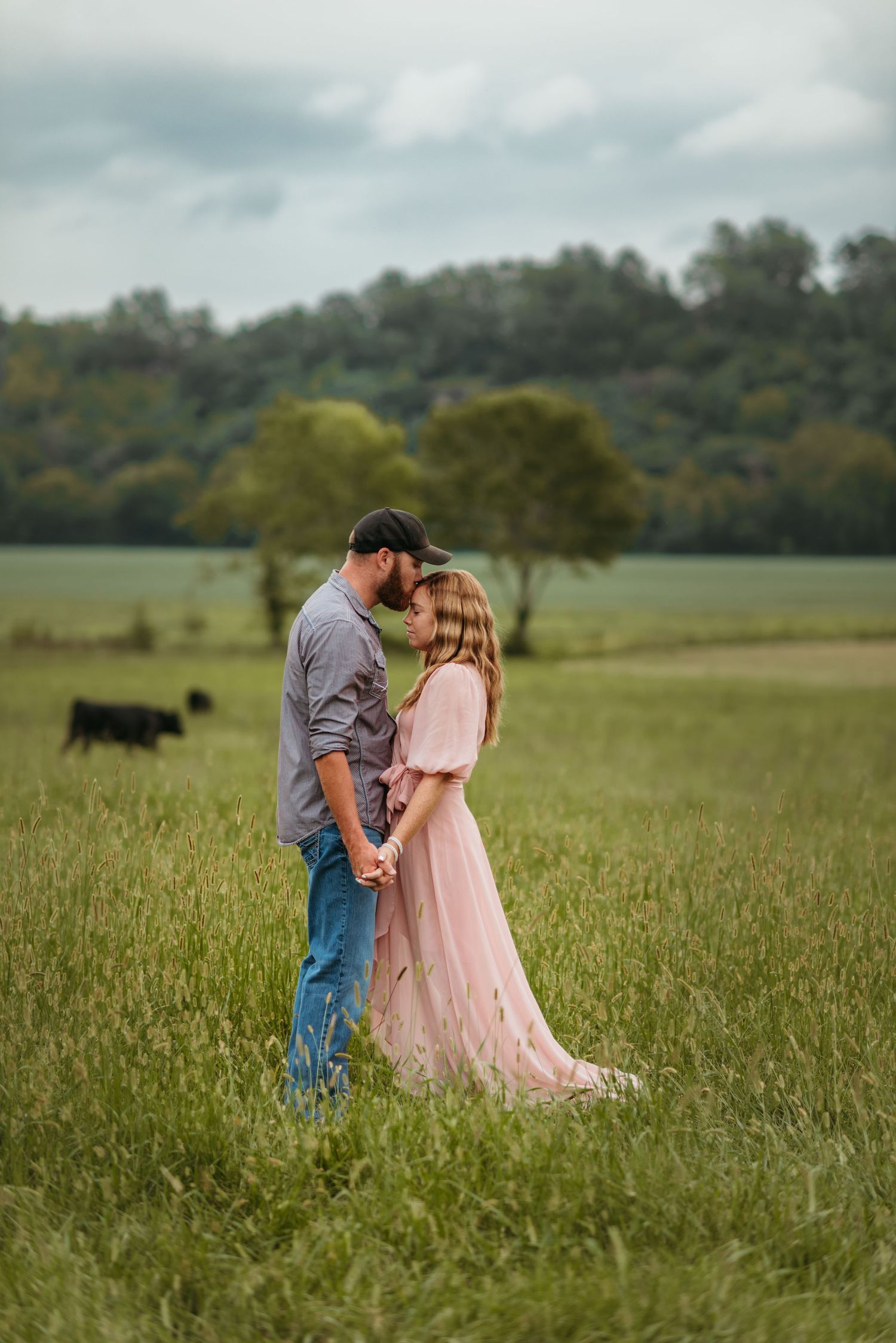 Romantic couple embracing in a misty field with grazing cattle in the background.
