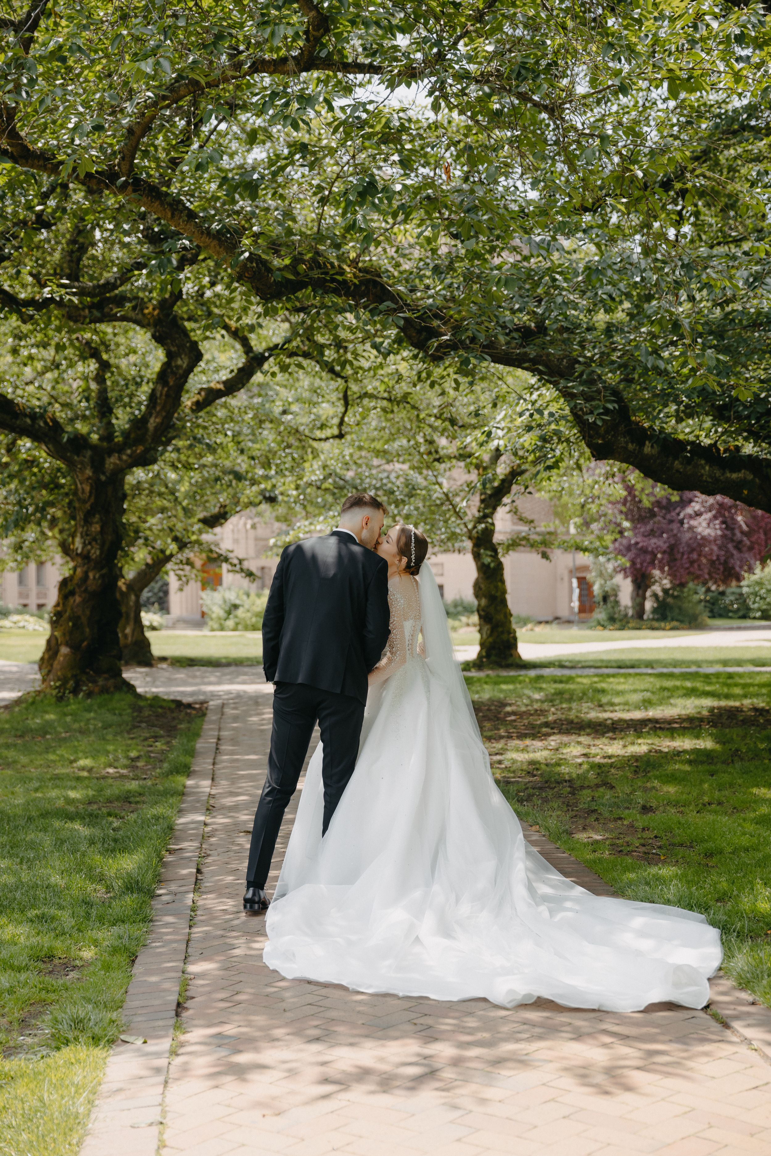 Romantic wedding portrait of couple walking beneath magnificent old trees on brick pathway.