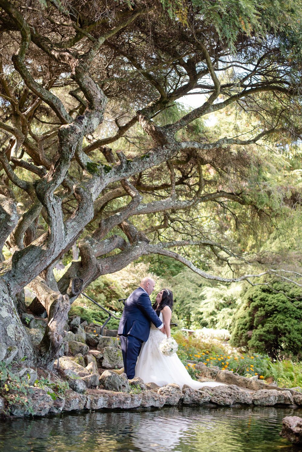 Romantic wedding portraits under sprawling ancient tree branches near water.
