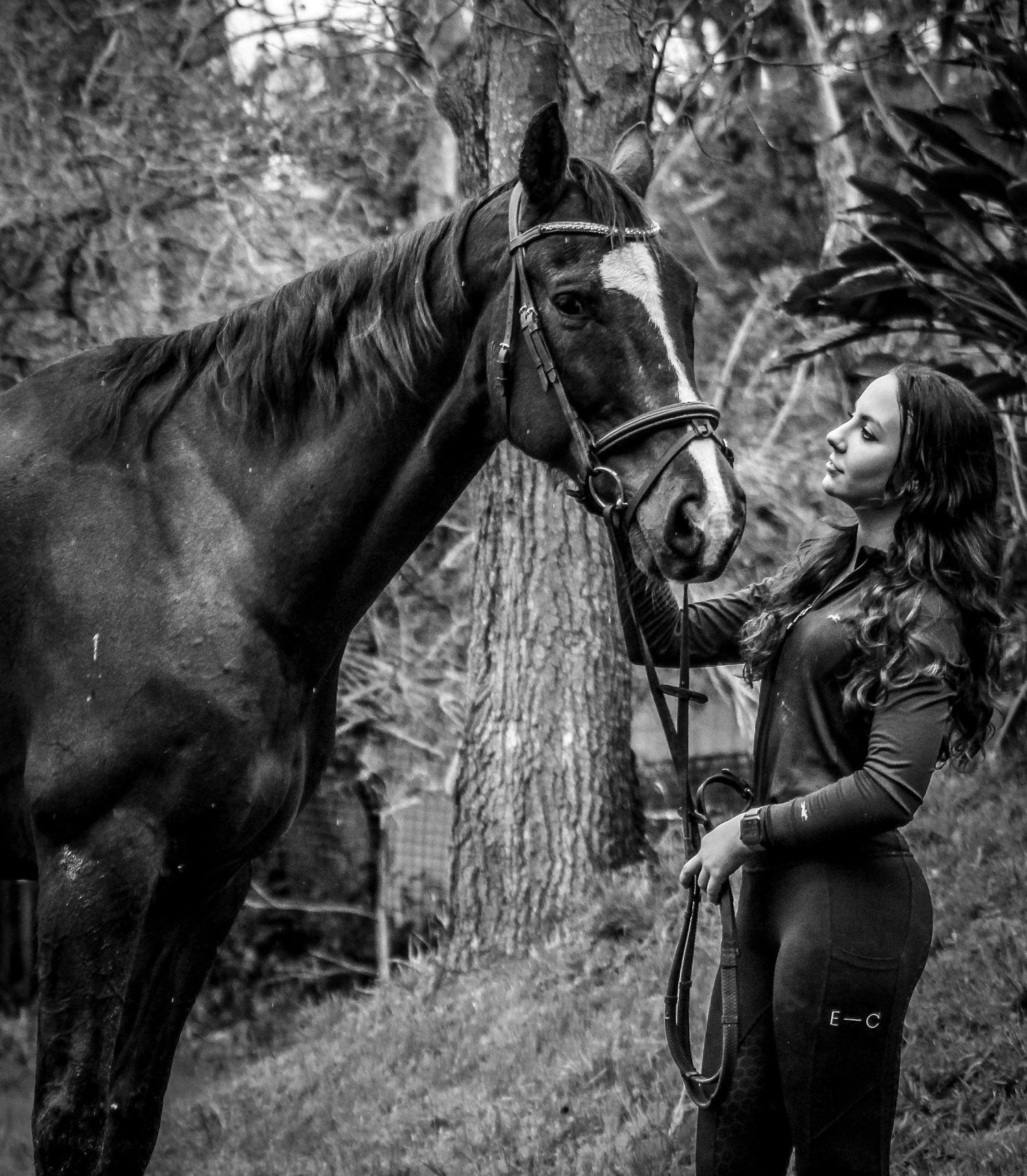 Equestrian photography.