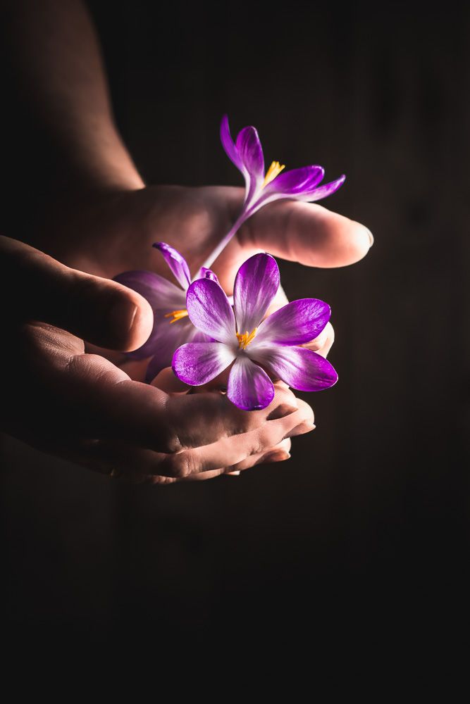 Photo by © Reka Csulak