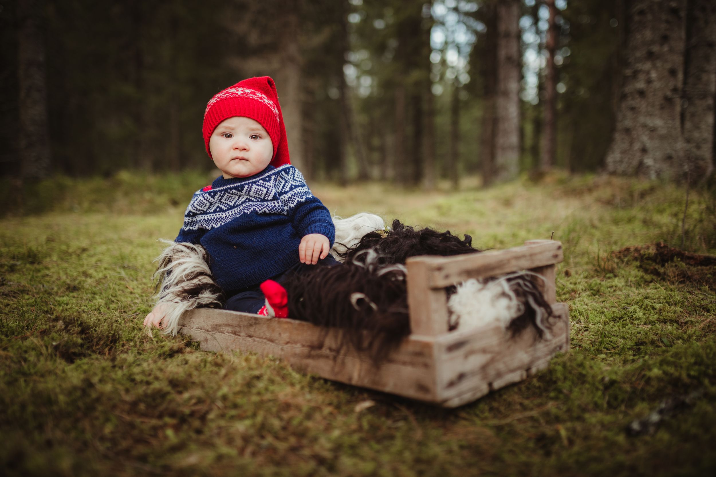Barnefotograf Trondheim, Trøndelag
