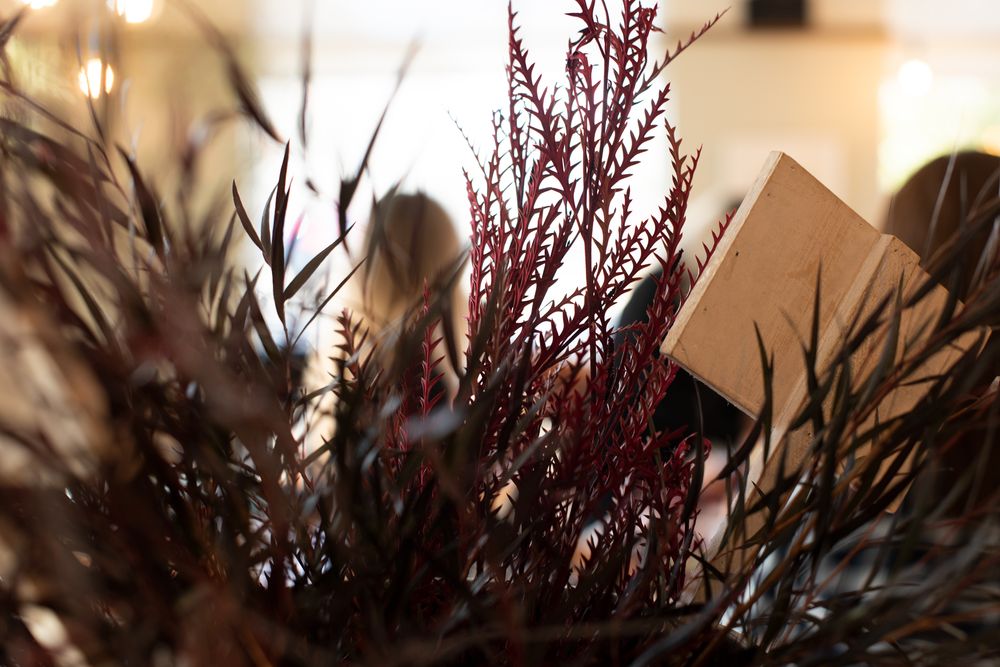 Artistic close-up of dark burgundy dried floral arrangement against blurred background.
