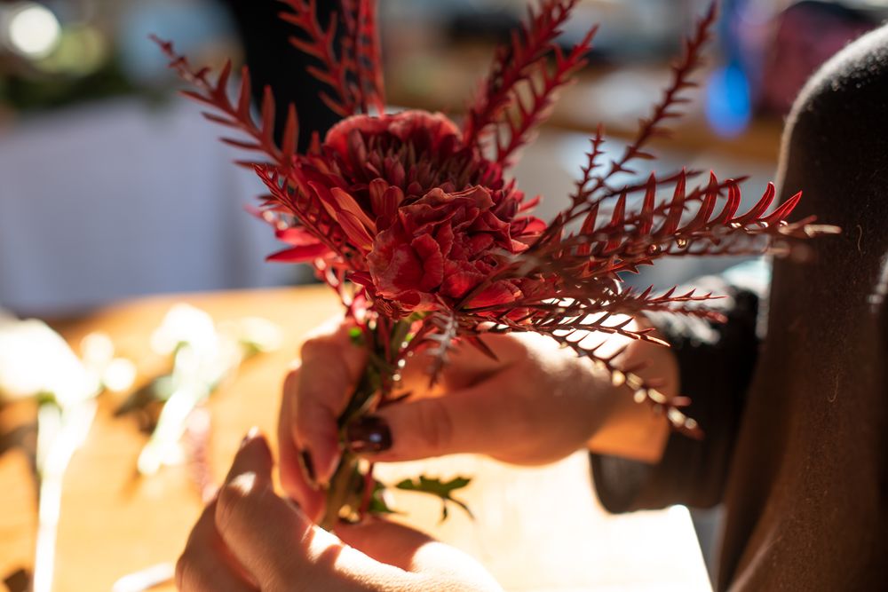 Hands holding red dried flowers in sunlit setting.