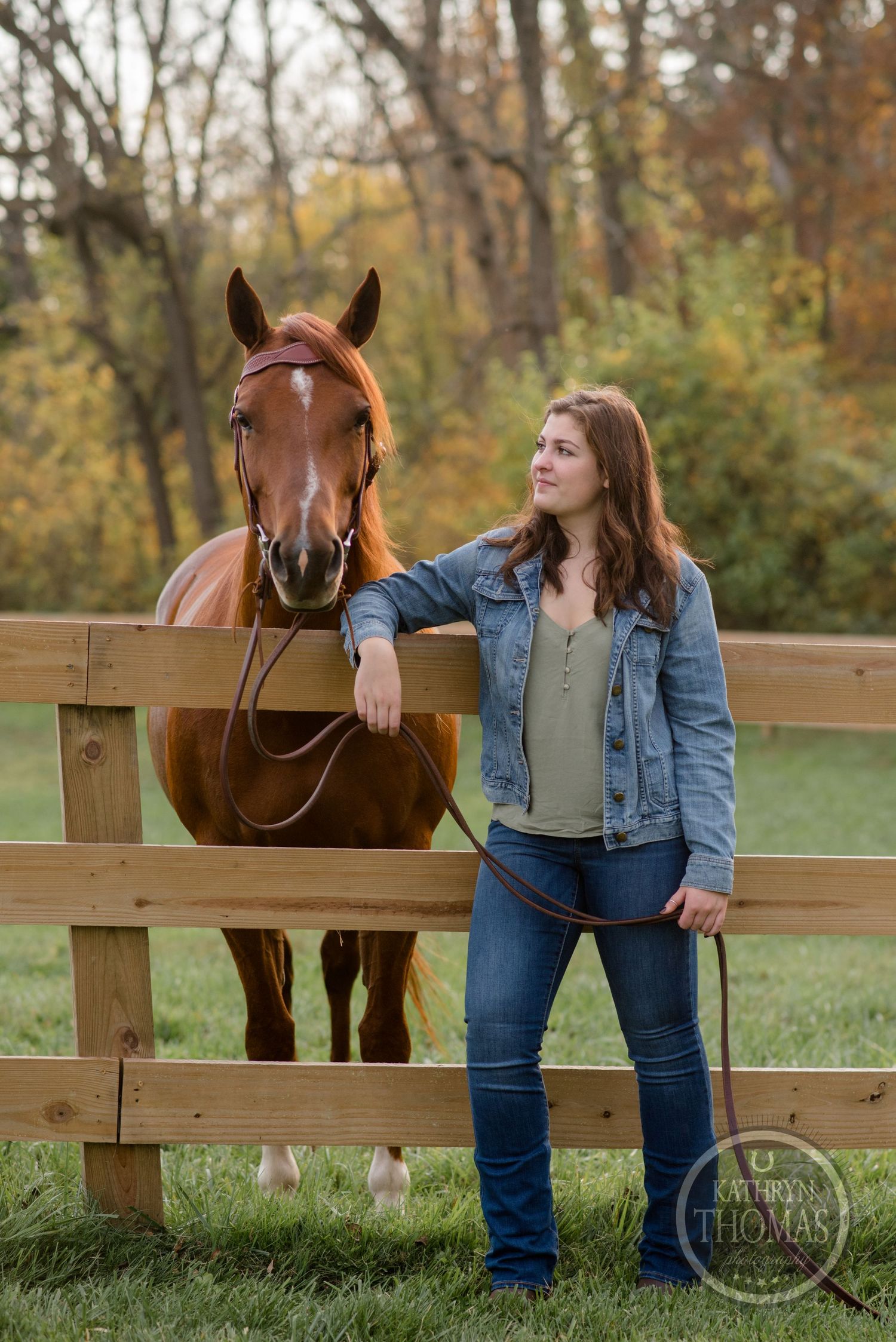 Horse and companion leaning on wooden fence during autumn afternoon photoshoot.