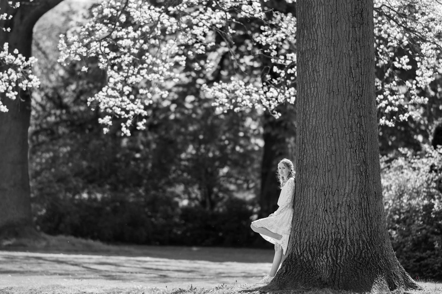 Series of black and white photos showing couple walking through blooming trees in springtime.