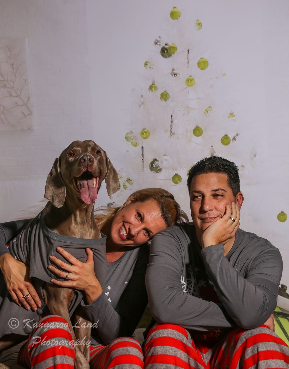 Christmas photo