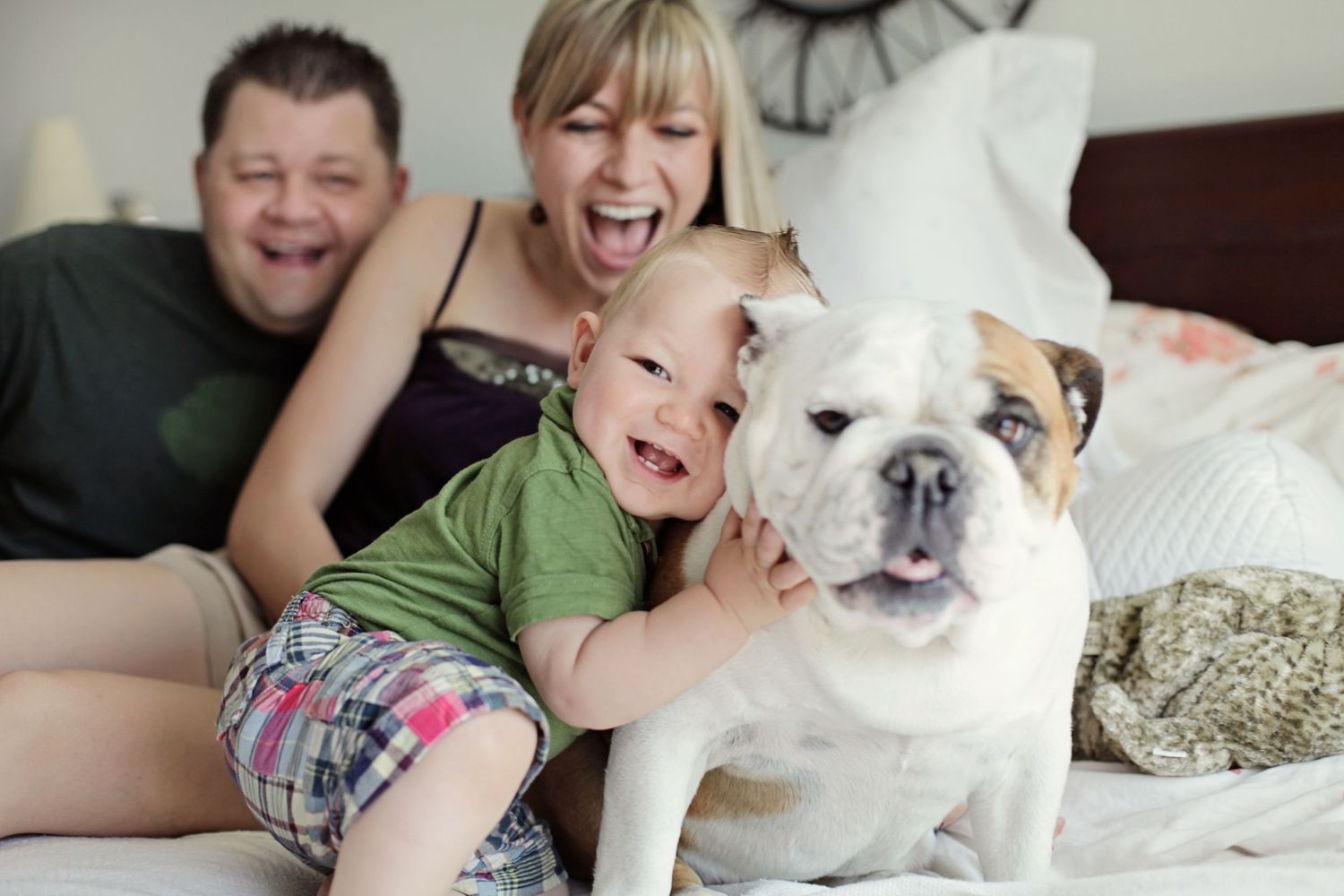 Family and bulldog pet relaxing together on bed indoors.