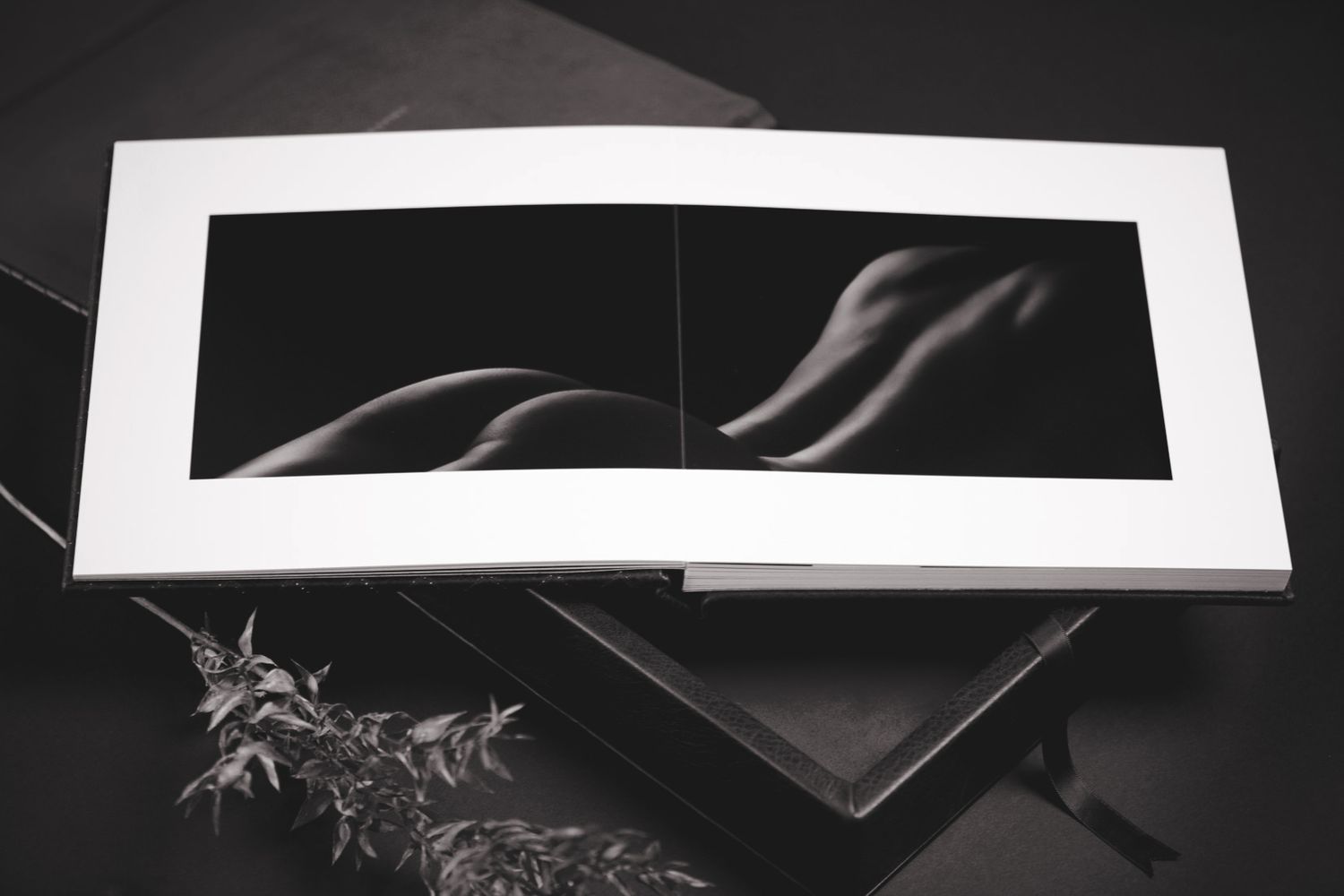 risque exposures boudoir photographers in greeley colorado