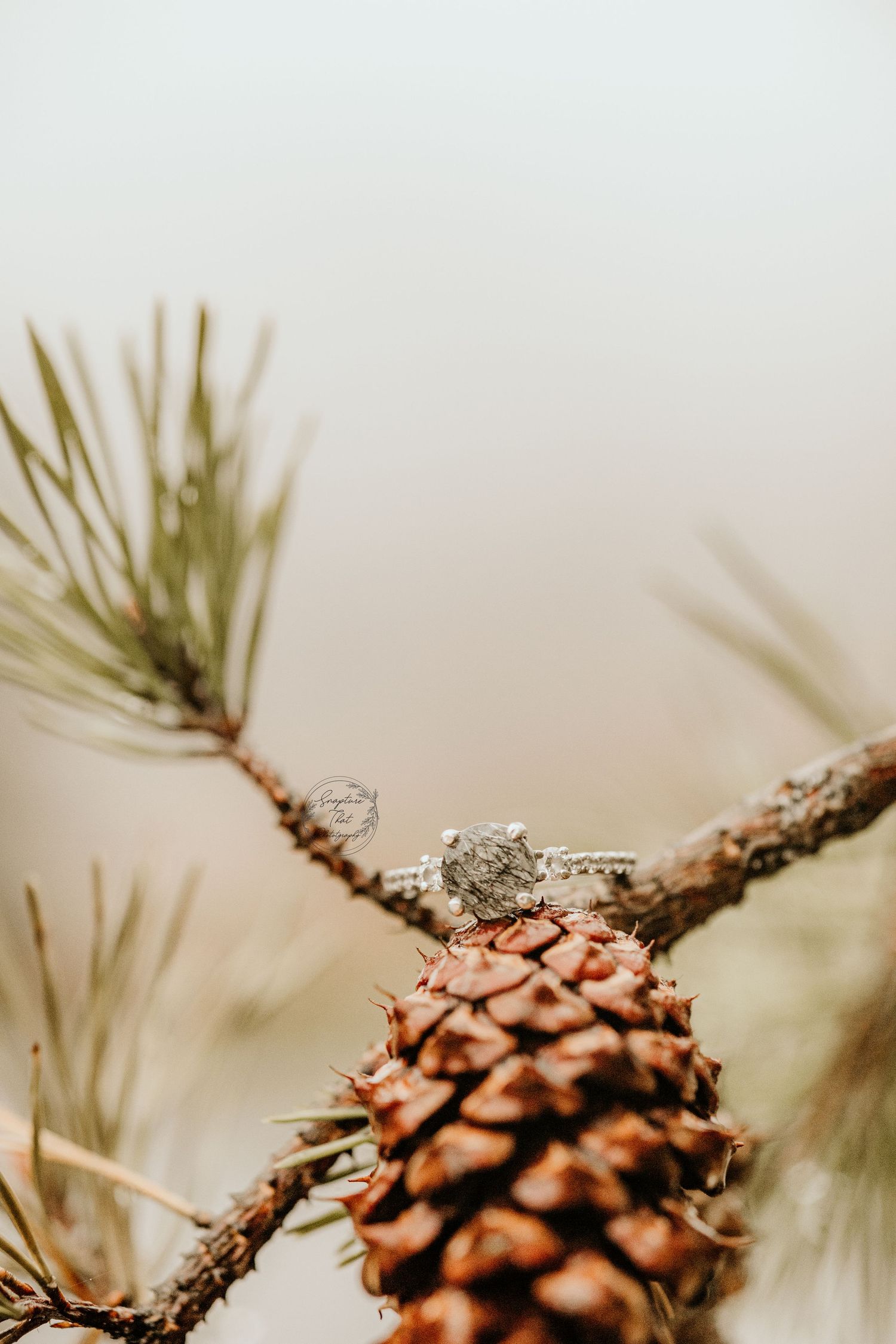 Diamond engagement ring perched atop pine cone with evergreen needles in soft focus.