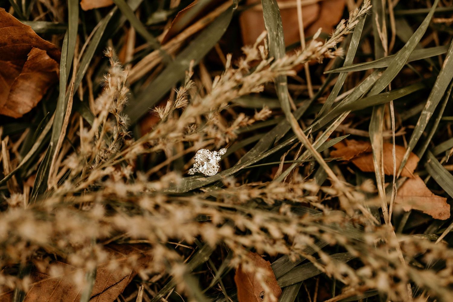 Dried grass stems and leaves creating natural texture in warm brown tones.