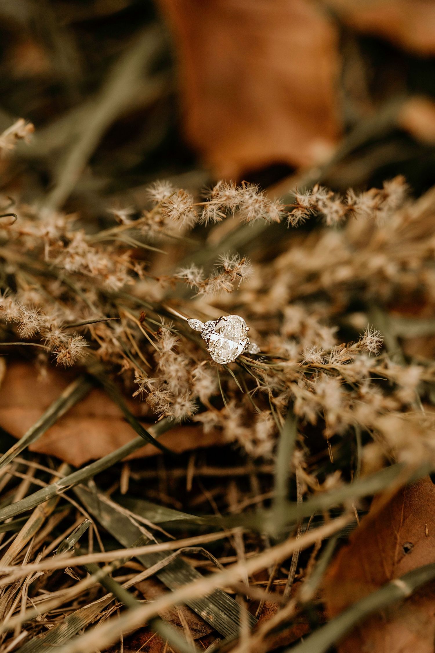 Macro shot of dried grass flowers with soft focus in earthy autumn colors.