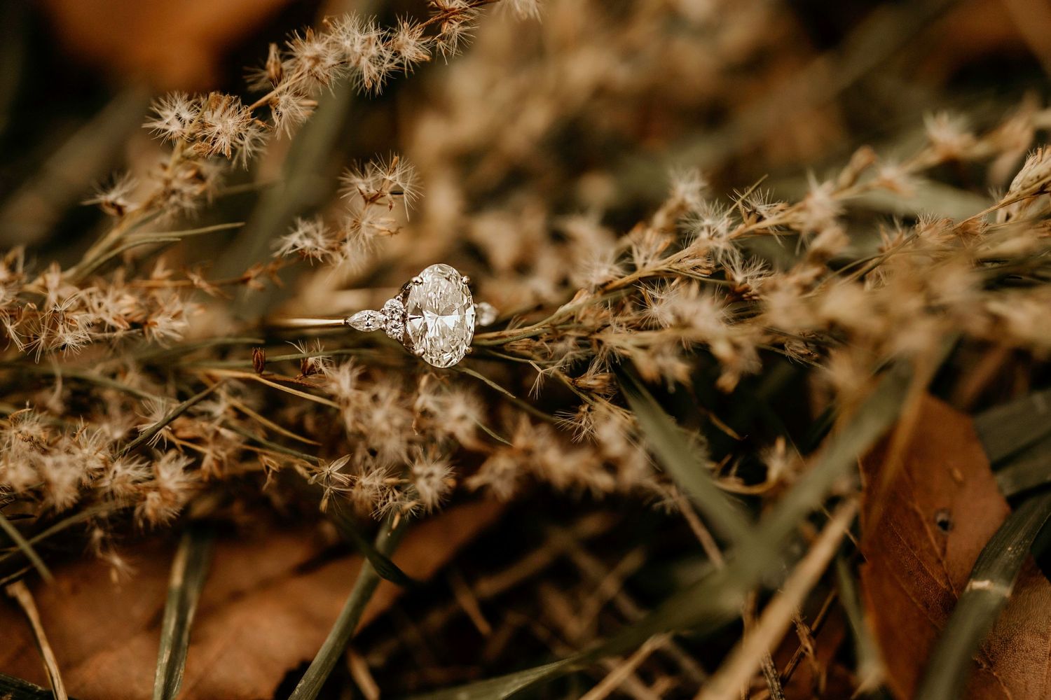 Delicate dried grass stalks against a blurred brown background.