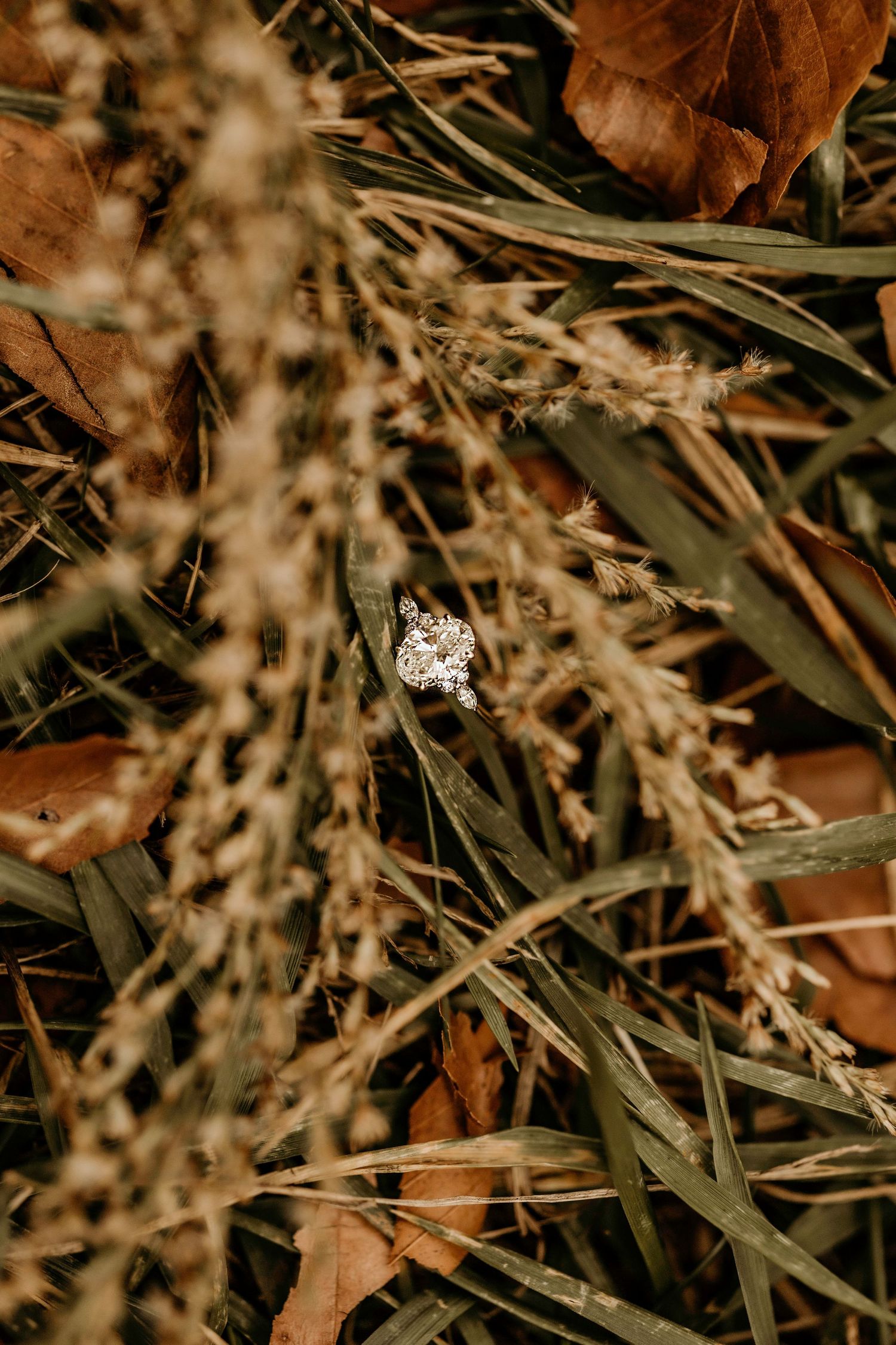Close-up of dried grass and leaves in autumn colors with shallow depth of field.