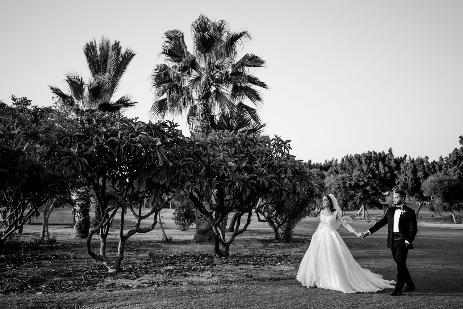 Black and white wedding photo of a couple in formal attire standing near palm trees and manicured gardens.