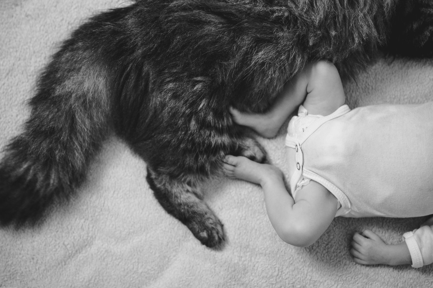 bébé avec chat