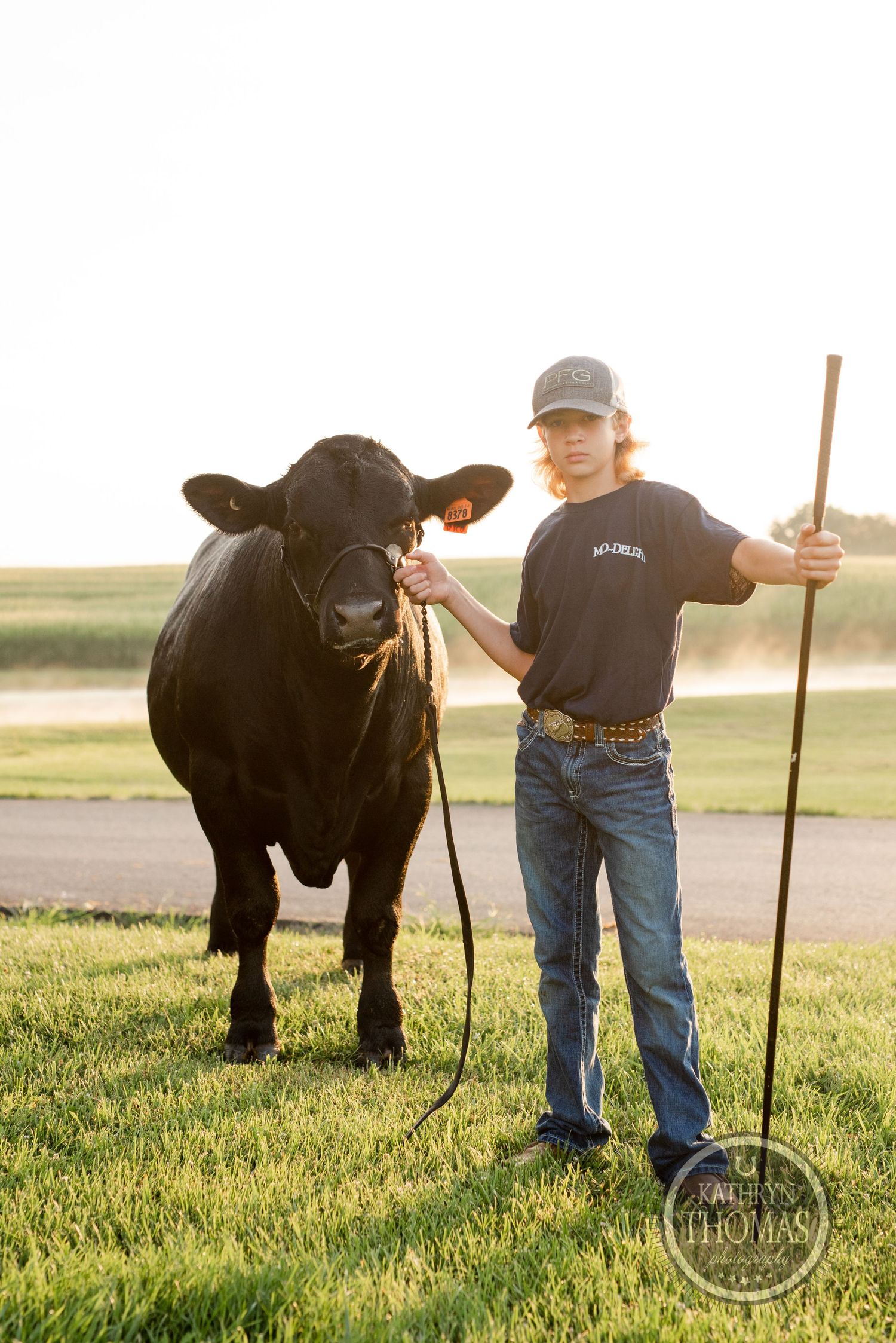 A black show steer stands with its handler on green grass during golden hour.