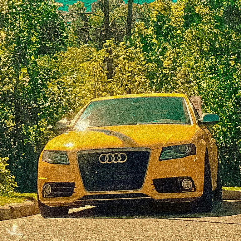 Yellow Audi sports car photographed from multiple angles in a sunny outdoor setting with trees in background.
