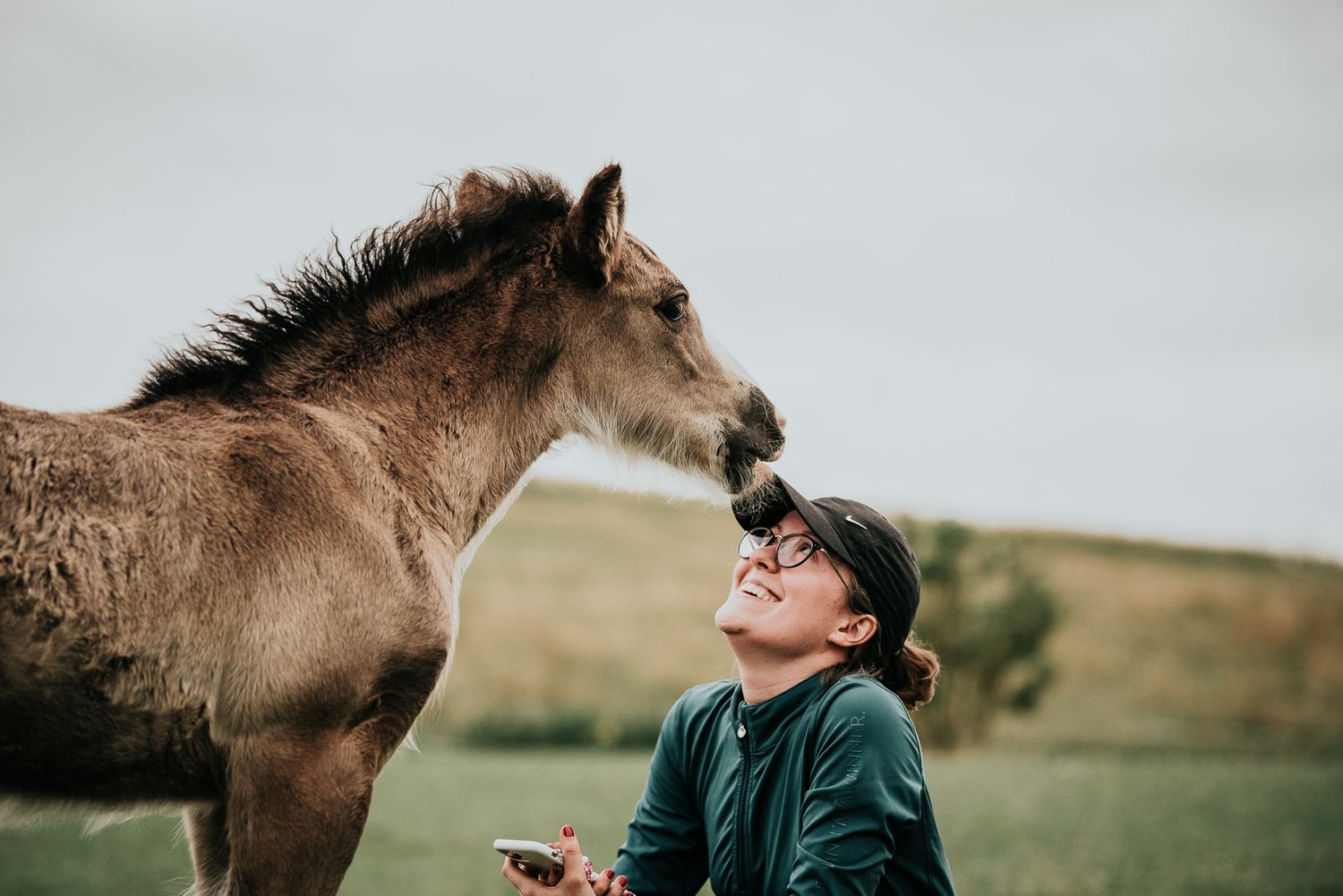 Irish cob föl Skåne